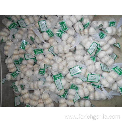 High Quality Standards Pure White Garlic